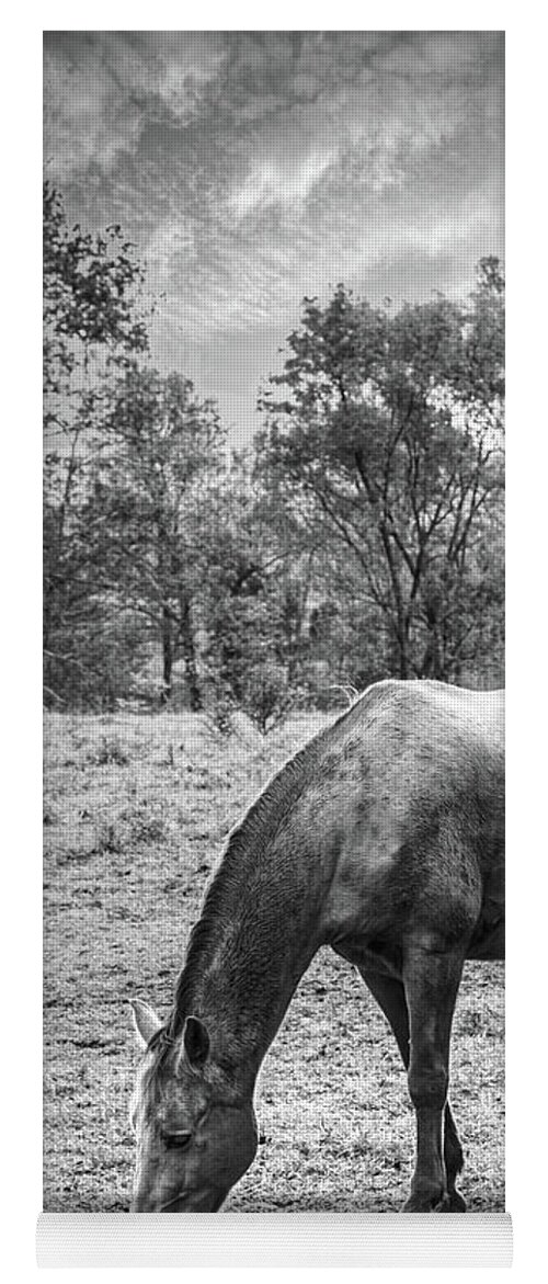 Cades Yoga Mat featuring the photograph Horses Grazing in Cades Cove Black and White by Debra and Dave Vanderlaan