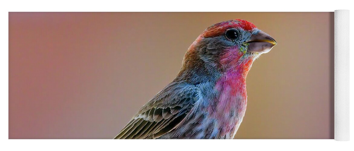 Animal Yoga Mat featuring the photograph House Finch 24685 by Mark Myhaver