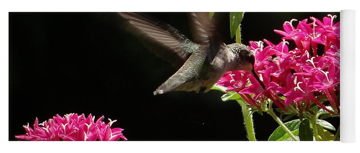 5 Star Yoga Mat featuring the photograph Hummers on Deck- 2-06 by Christopher Plummer