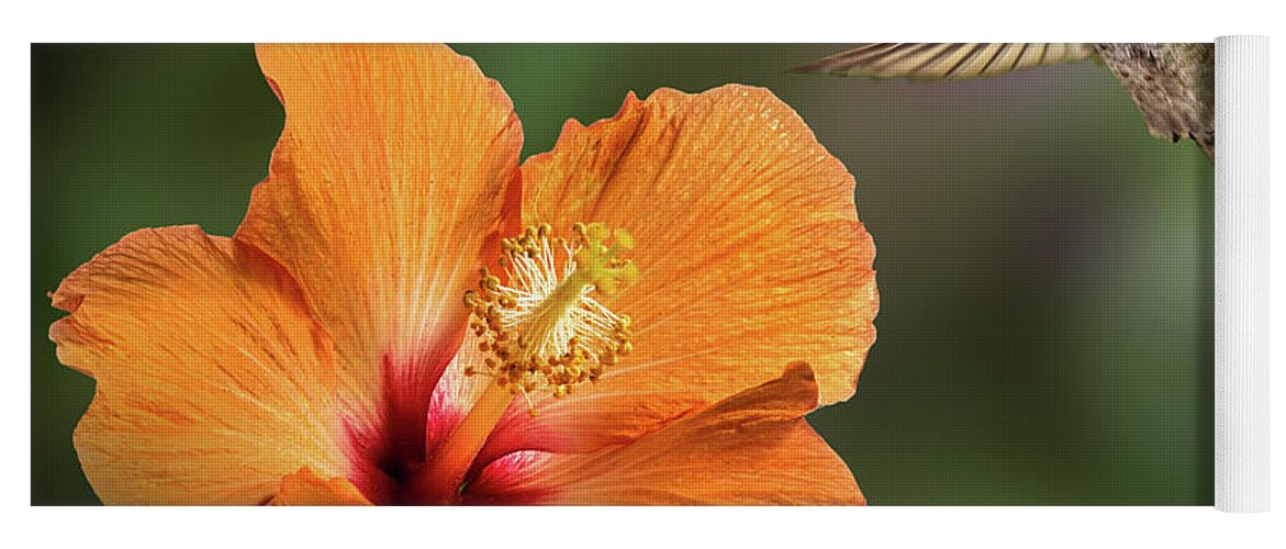 Hummingbird Yoga Mat featuring the photograph Hummingbird and Peach Hibiscus by Endre Balogh