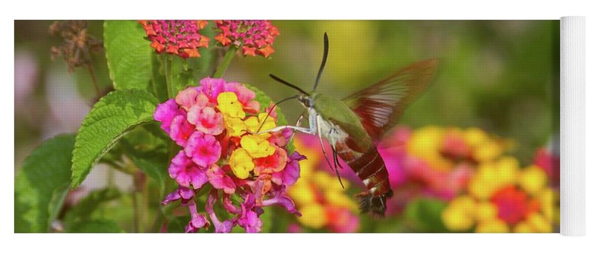 Hemaris Yoga Mat featuring the photograph Hummingbird Clearwing Moth on Lantana by Liza Eckardt