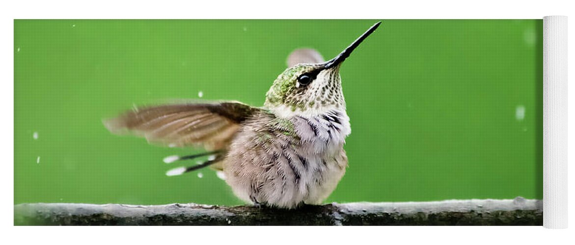 Hummingbird Yoga Mat featuring the photograph Hummingbird In The Rain by Christina Rollo