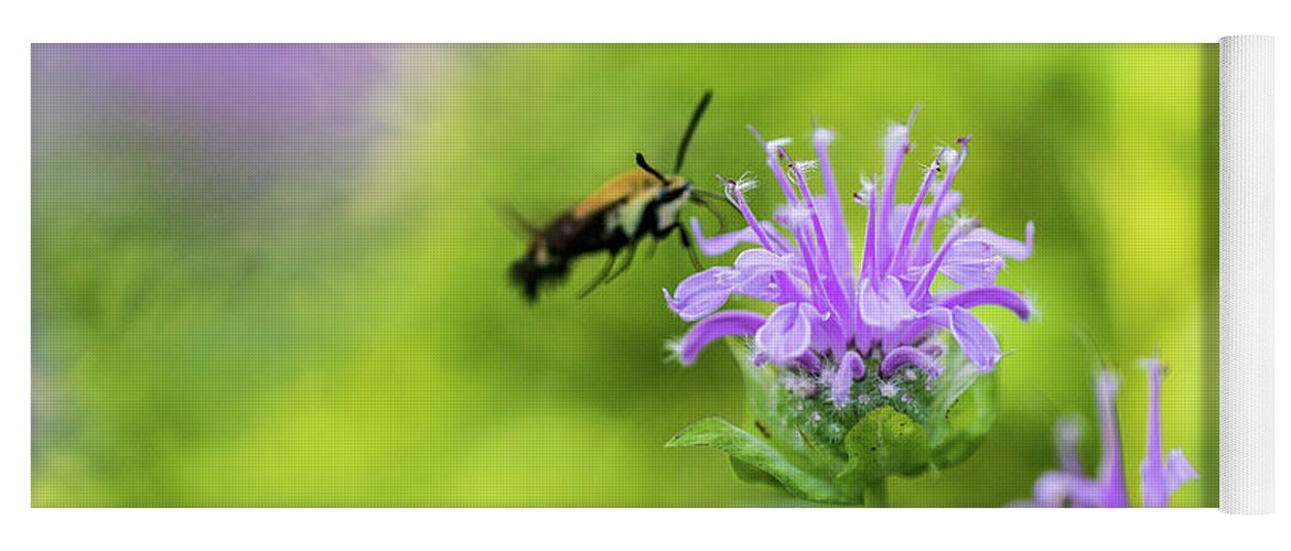 Plants Yoga Mat featuring the photograph Hummingbird Moth - Delaware Water Gap by Amelia Pearn