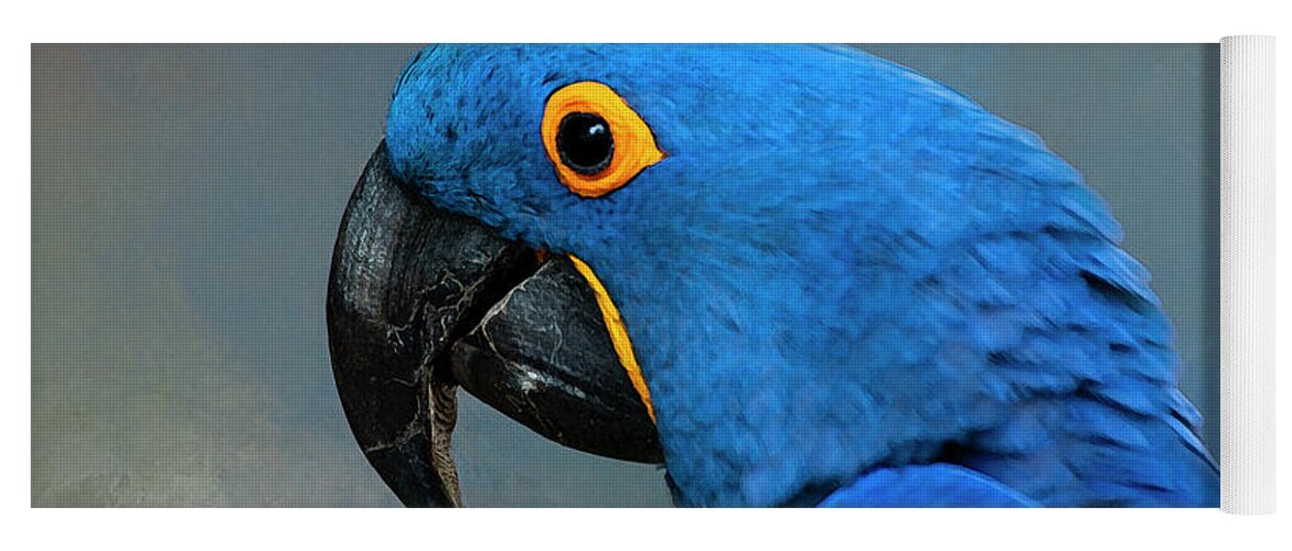 Macaw Yoga Mat featuring the photograph Hyacinth Macaw Paintography by Anthony Jones