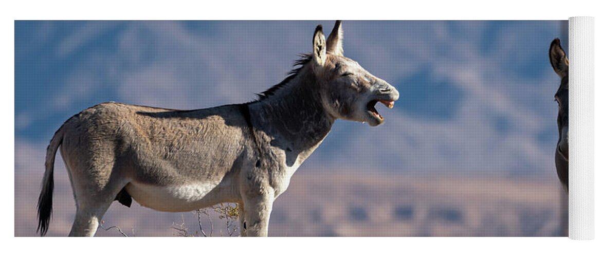 Wild Burros Yoga Mat featuring the photograph I told you by Mary Hone