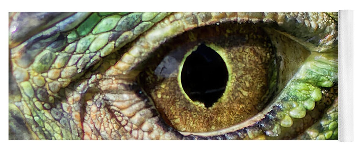 Eye Yoga Mat featuring the photograph Iguana Eye 1 by Shane Bechler