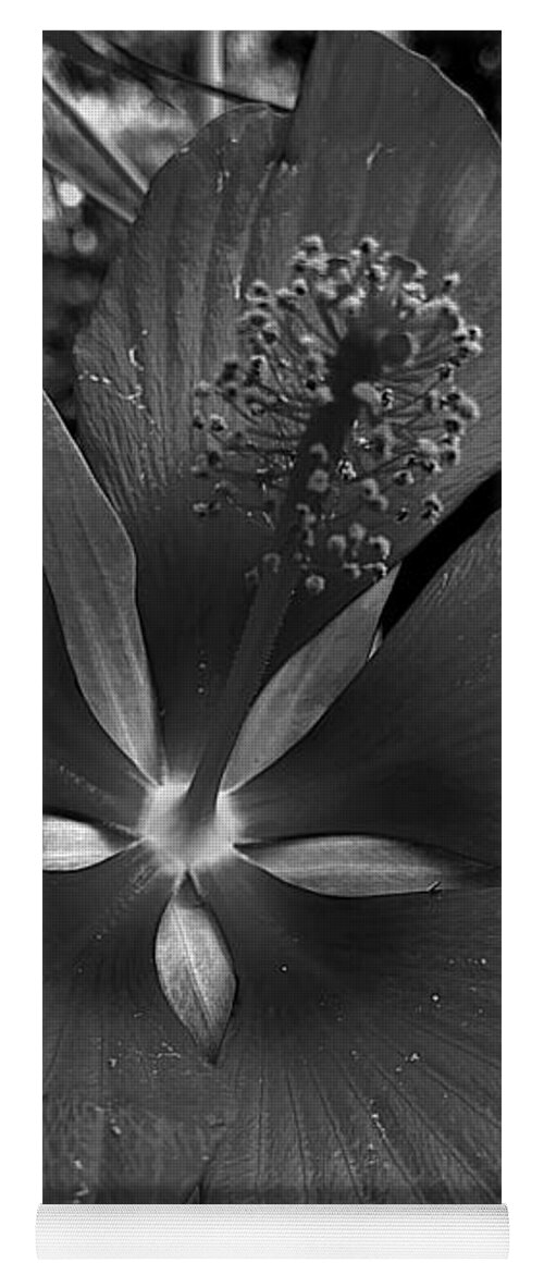 Flower Yoga Mat featuring the photograph Imperfectly Perfect Macro BW by Lee Darnell