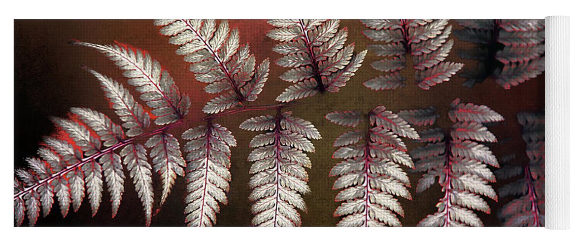 Ferns Yoga Mat featuring the photograph In A Silver Frame Of Mind by Rene Crystal