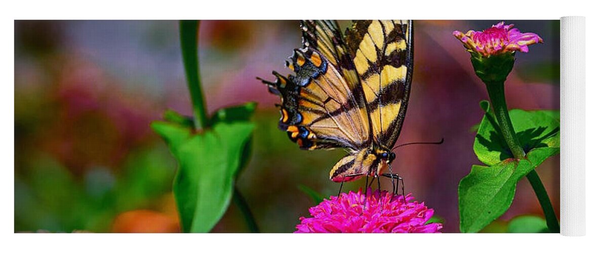Butterfly Yoga Mat featuring the photograph In the Garden by Carolyn Mickulas