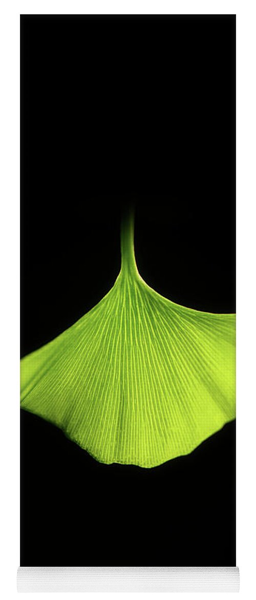 Leaves Yoga Mat featuring the photograph In the Green Light by Philippe Sainte-Laudy