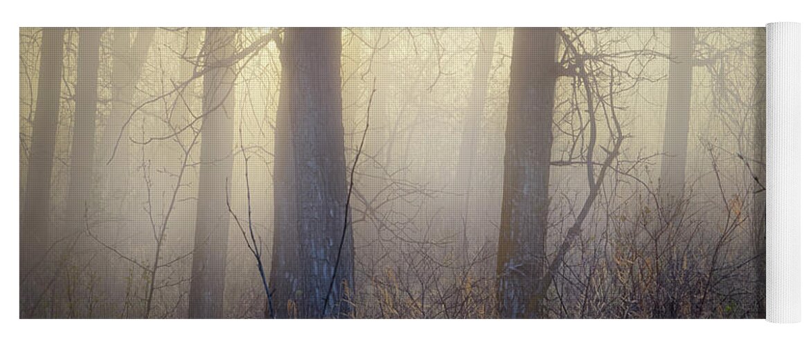 Trees Yoga Mat featuring the photograph In The Woods by Dan Jurak