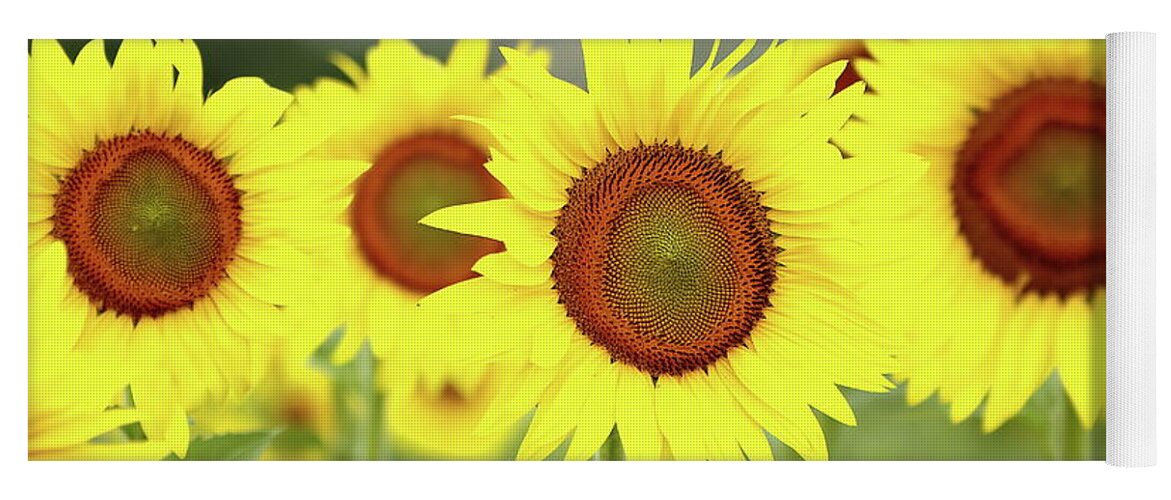 Sunflower Yoga Mat featuring the photograph In Your Face by Lens Art Photography By Larry Trager