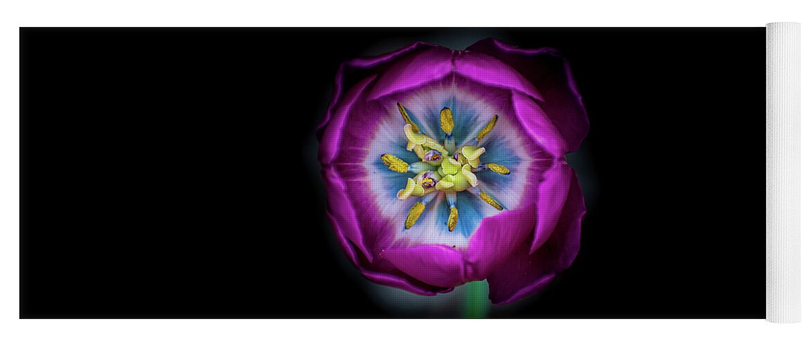Tulip Yoga Mat featuring the photograph Inside A Pink Tulip by Len Bomba