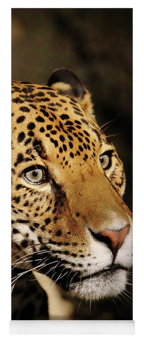 Jaguar Yoga Mat featuring the photograph Intense by Lens Art Photography By Larry Trager