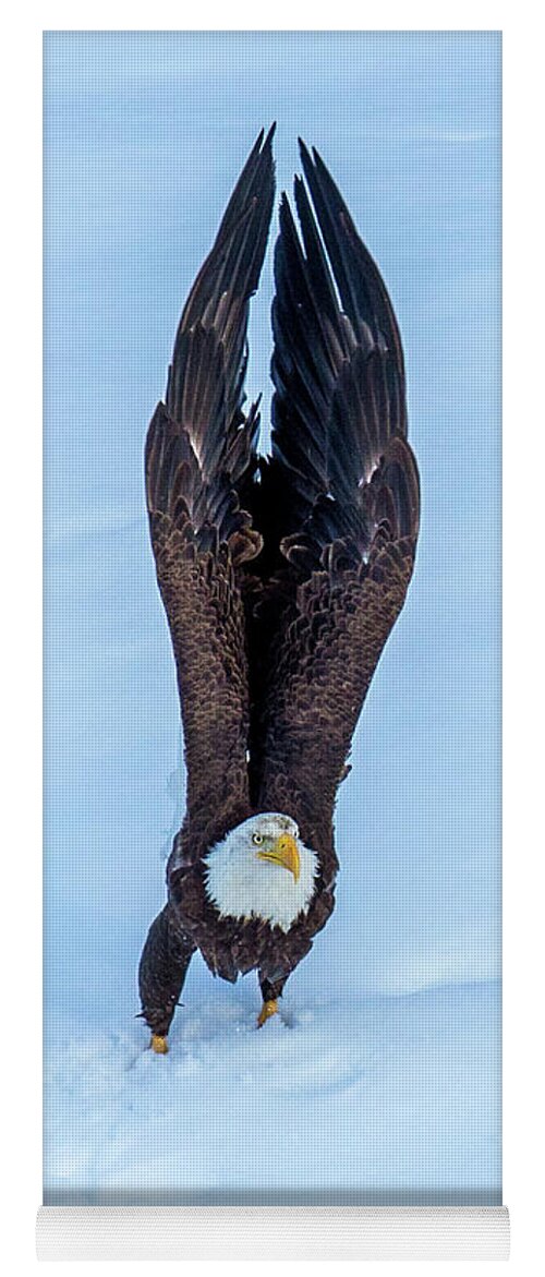 Eagle Yoga Mat featuring the photograph Intention by Kevin Dietrich