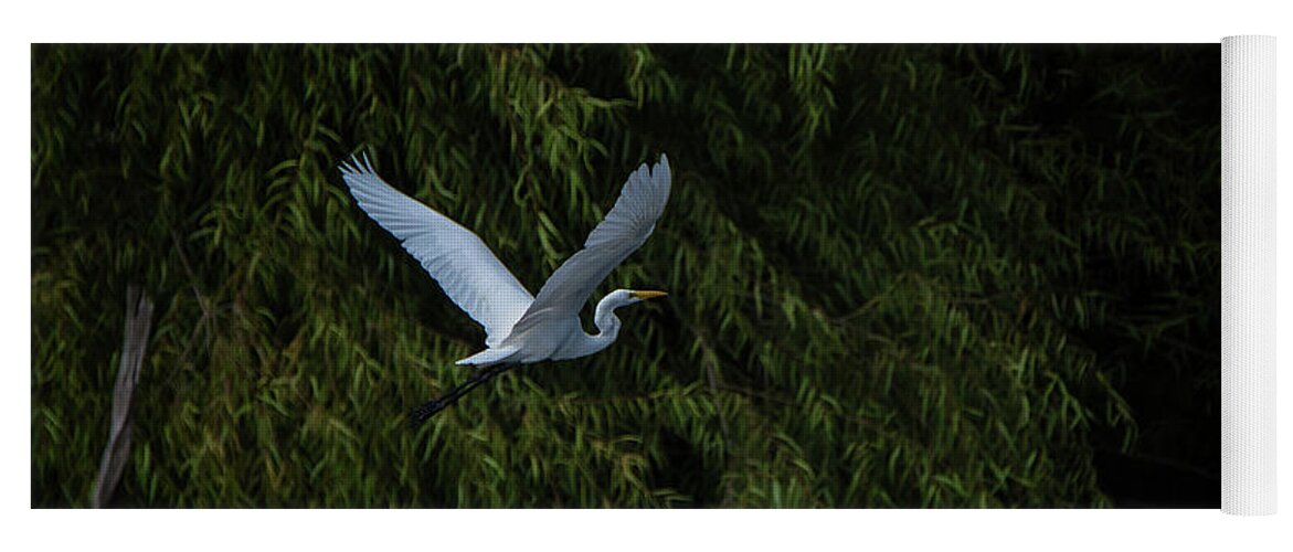 Egret Yoga Mat featuring the photograph Into the Night by Linda Shannon Morgan