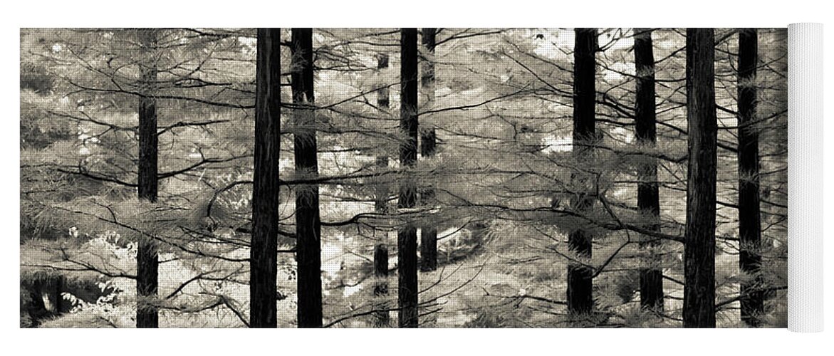 Monochrome Yoga Mat featuring the photograph Into The Woods by Ana V Ramirez