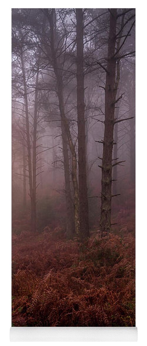 Woods Yoga Mat featuring the photograph Into the woods by Chris Boulton