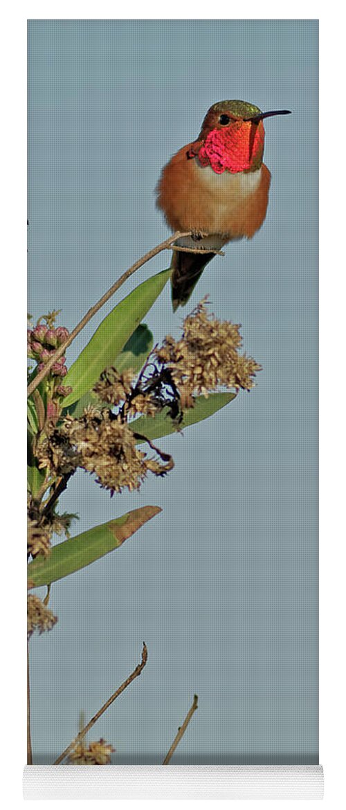 Hummingbird Yoga Mat featuring the photograph Iridescent Hummingbird by Natural Focal Point Photography