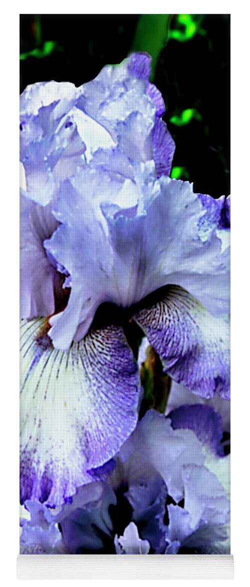 Color Yoga Mat featuring the photograph Iris Profusion 2 by Alan Hausenflock