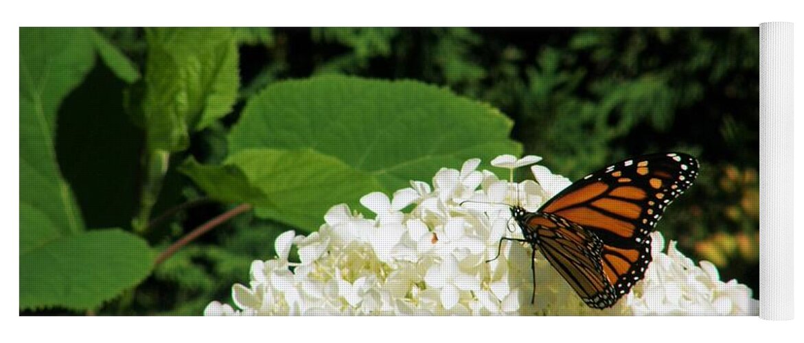  Monarch Yoga Mat featuring the photograph Island Butterfly by Victor Thomason