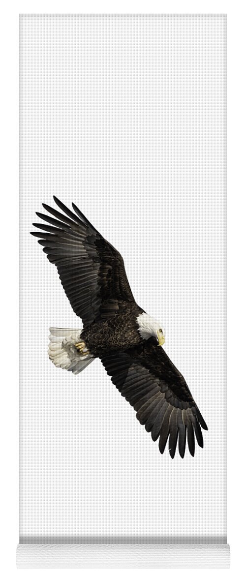 American Bald Eagle Yoga Mat featuring the photograph Isolated Bald Eagle 2019-14 by Thomas Young
