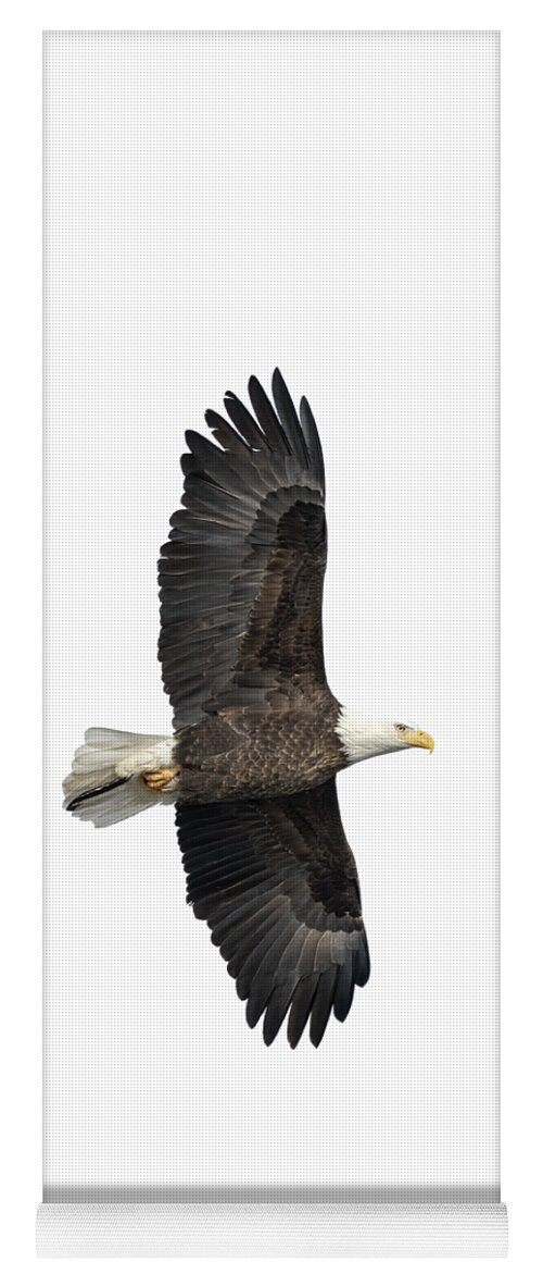 American Bald Eagle Yoga Mat featuring the photograph Isolated Bald Eagle 2019-6 by Thomas Young