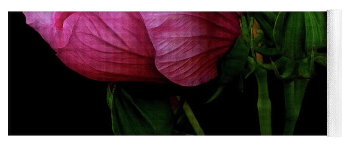 Hibiscus Yoga Mat featuring the photograph Its A Matter Of Persective by Cynthia Dickinson