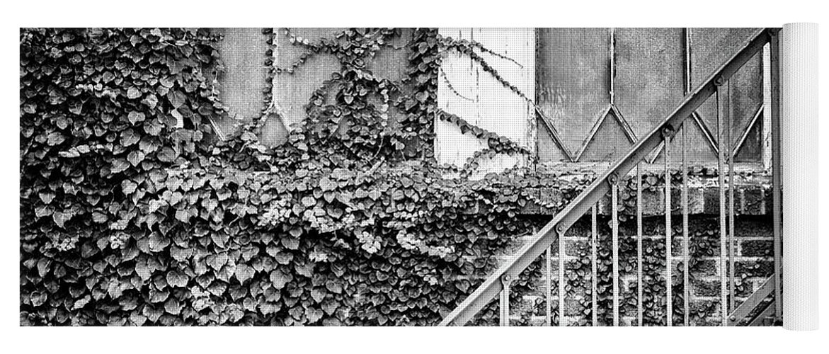  Yoga Mat featuring the photograph Ivy, Window And Stairs by Steve Stanger
