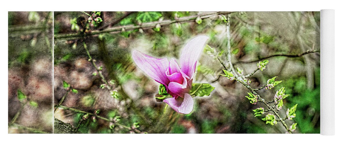 Magnolia Liliiflora Yoga Mat featuring the photograph Jane Magnolia Pink flower by Sharon Popek
