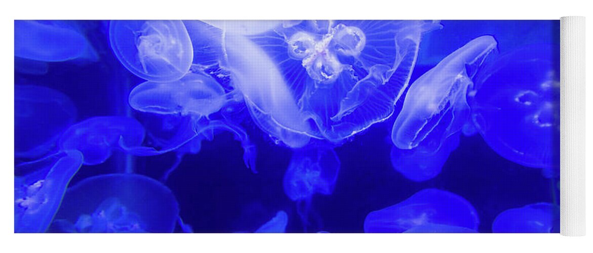 Jelly Yoga Mat featuring the photograph Jellyfish in the Water by Beachtown Views
