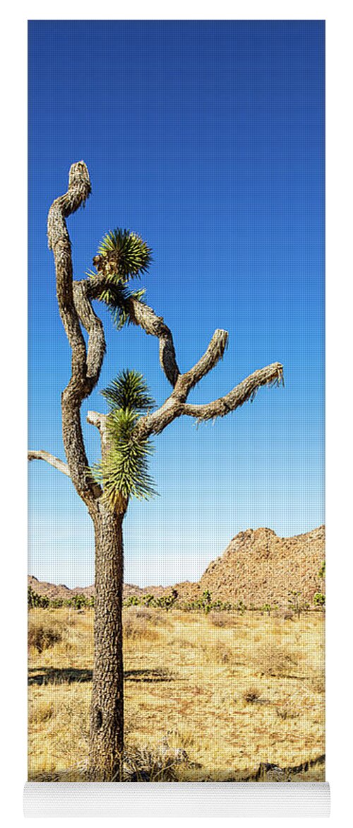 Landscapes Yoga Mat featuring the photograph Joshua Tree-4 by Claude Dalley