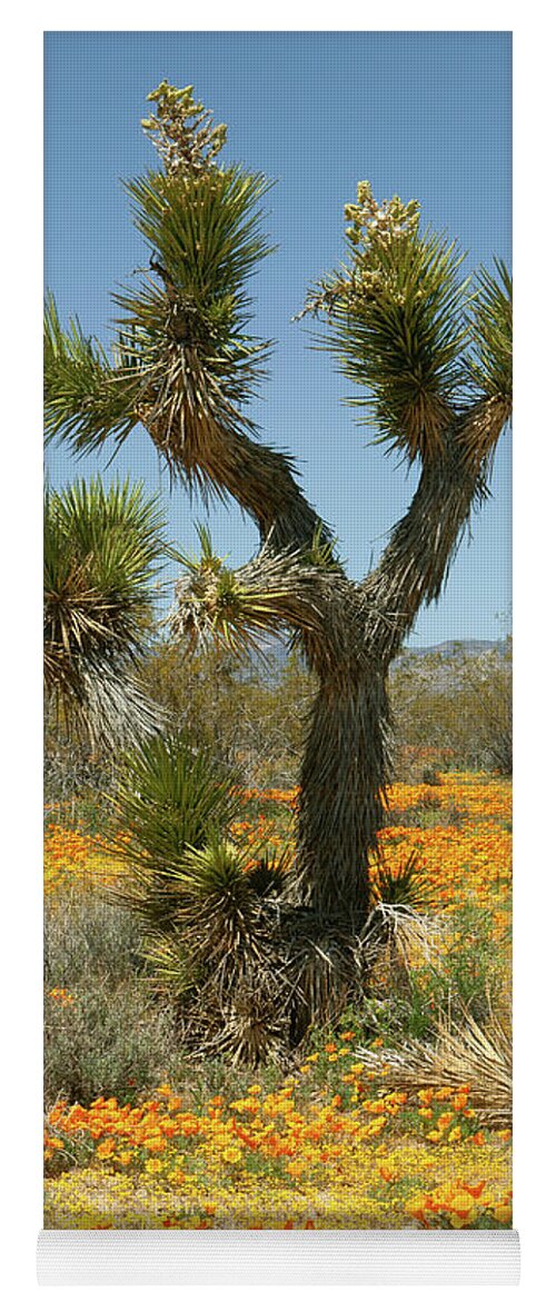Mojave Desert Wildflowers Yoga Mat featuring the photograph Joshua Tree and Wildflowers in Mojave Desert by Ram Vasudev