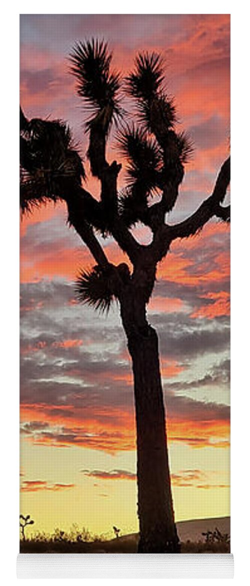 Sunset Yoga Mat featuring the photograph Joshua Tree in Yucca Valley by Chris Casas