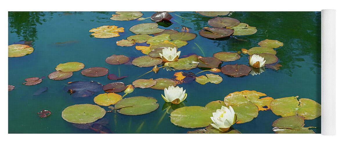 Water Lily Yoga Mat featuring the photograph June Water Lilies on Pond by Bonnie Follett