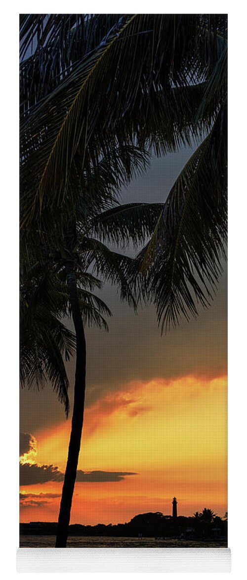Palm Tree Yoga Mat featuring the photograph Jupiter Inlet Palms by Laura Fasulo