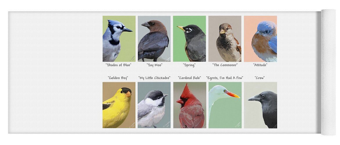 Animal Yoga Mat featuring the mixed media Birds En Masse 1 by Judy Cuddehe