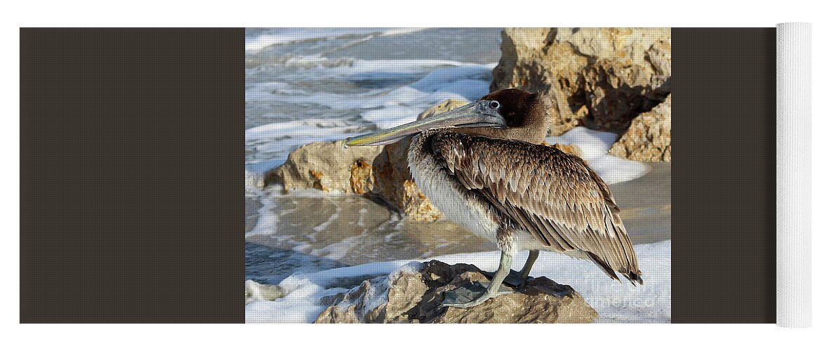 Brown Pelican Yoga Mat featuring the photograph Juvenile brown pelican at the beach by Joanne Carey