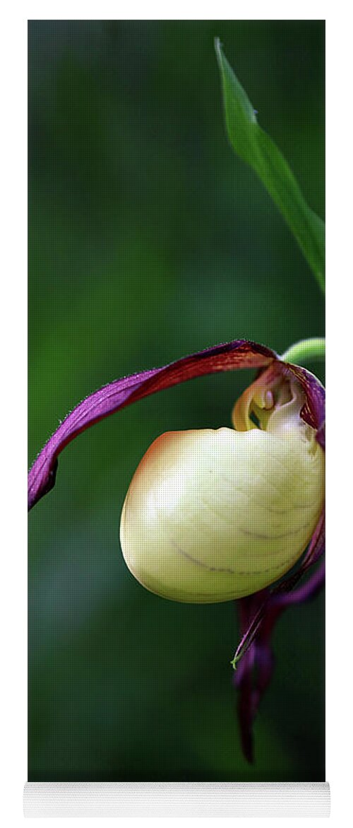  Yoga Mat featuring the photograph Kentucky Lady Slipper by William Rainey