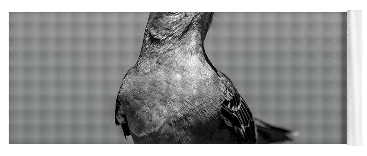 Bird Yoga Mat featuring the photograph Knee Deep by Cathy Kovarik
