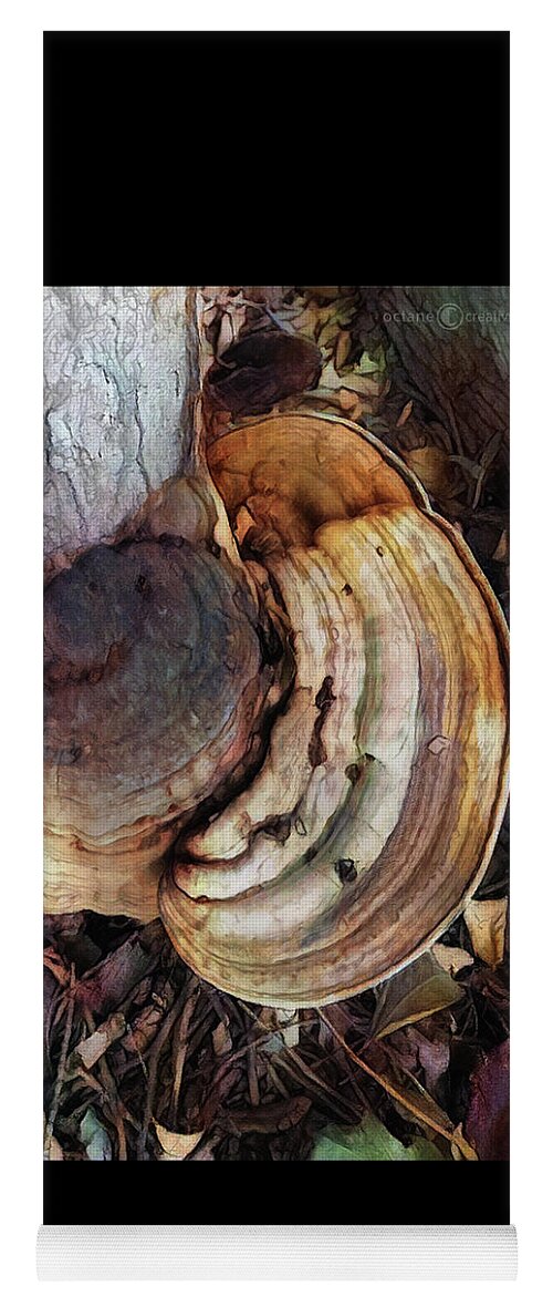 Photo Yoga Mat featuring the photograph Rings Of Fungi by Tim Nyberg