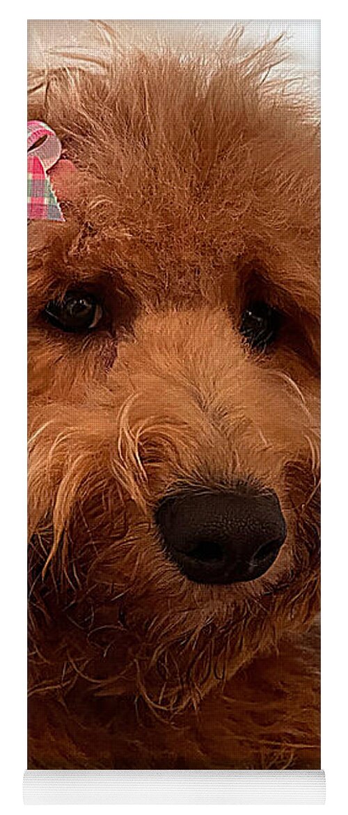 Goldendoodle Yoga Mat featuring the photograph Ladybird by Lee Darnell
