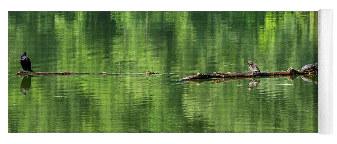 Lake Yoga Mat featuring the photograph Lake Wildlife by David Beechum