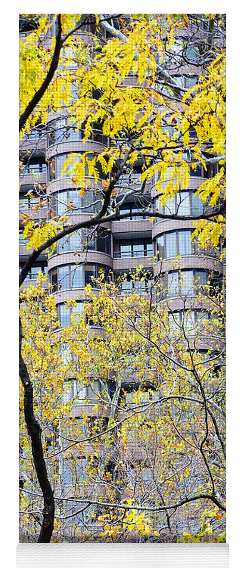 Nature Yoga Mat featuring the photograph Late Autumn - A Murray Hill Impression by Steve Ember