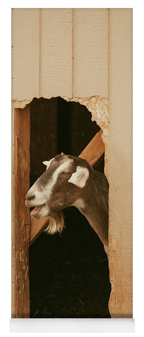 Goat Yoga Mat featuring the photograph Laughing Goat by Ana V Ramirez