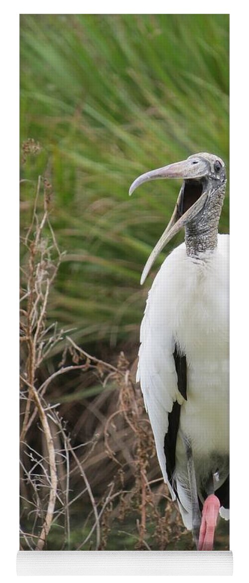 Wood Stork Yoga Mat featuring the photograph Laughing Wood Stork by World Reflections By Sharon