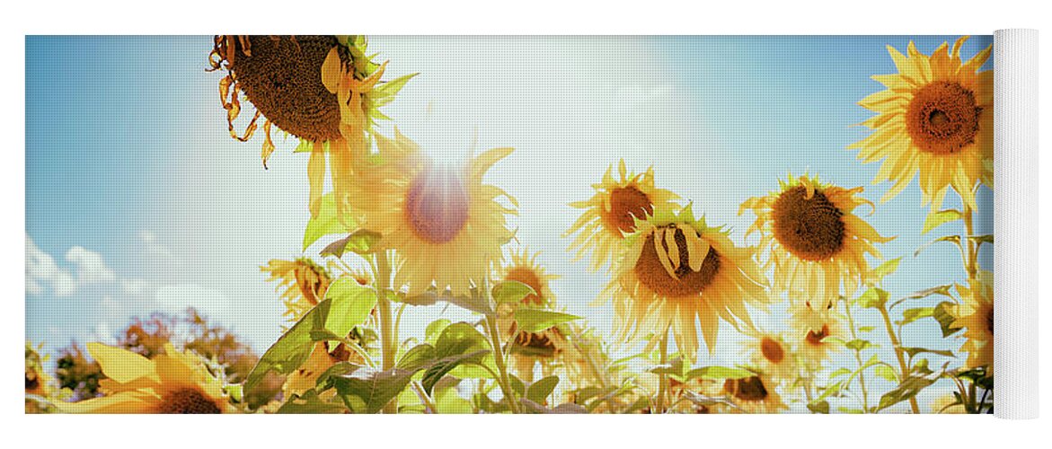 Sunflowers Yoga Mat featuring the photograph Laughter of Sunflowers by Ada Weyland