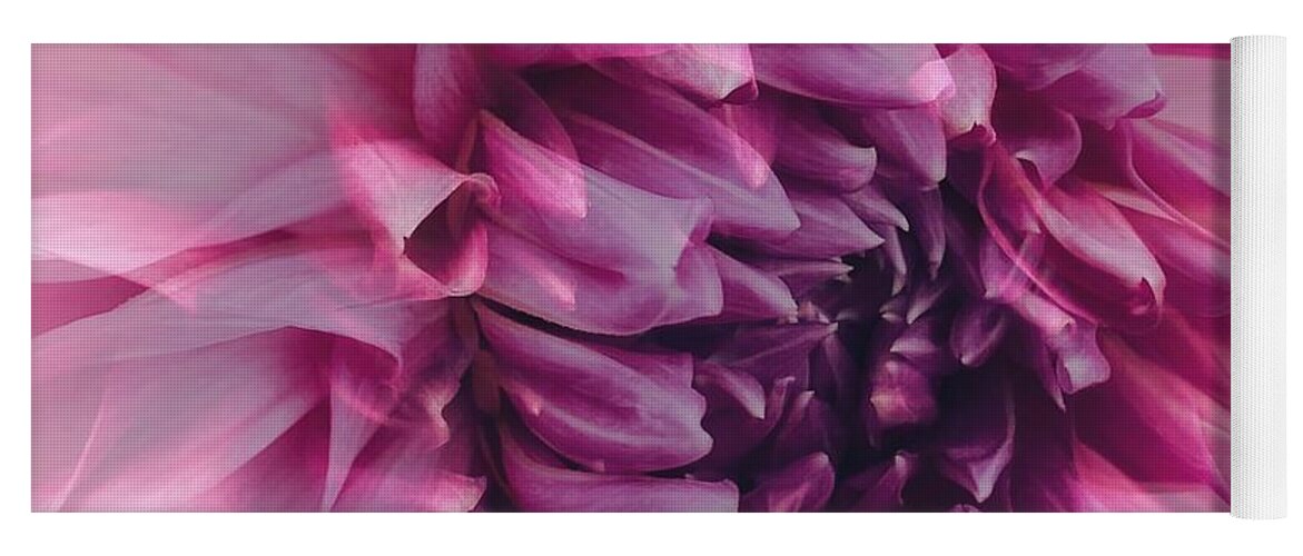 Macro Yoga Mat featuring the photograph Lavender and Pink Dahlia by Jerry Abbott
