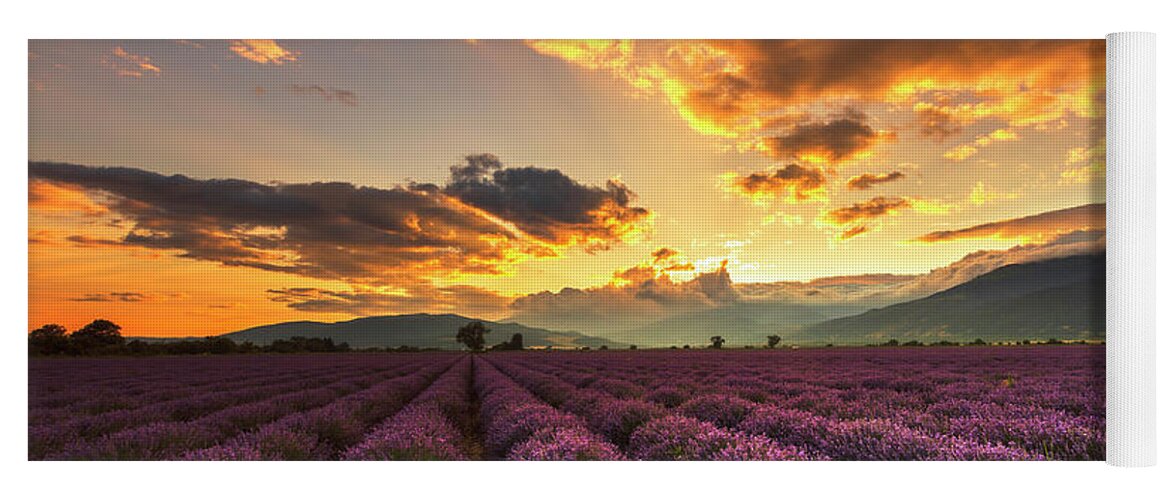Bulgaria Yoga Mat featuring the photograph Lavender Sun by Evgeni Dinev