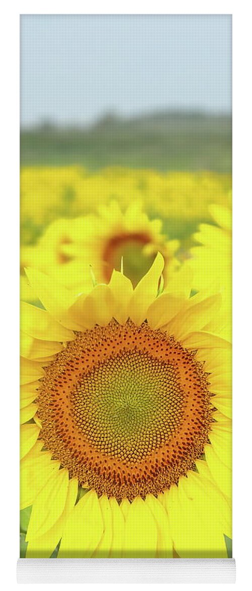 Sunflower Yoga Mat featuring the photograph Leader Of The Pack by Lens Art Photography By Larry Trager